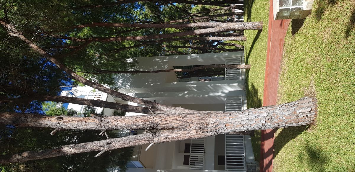 imagini hotel SEVEN SEAS BLUE SIDE